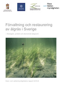 Management and restoration of eelgrass in Sweden