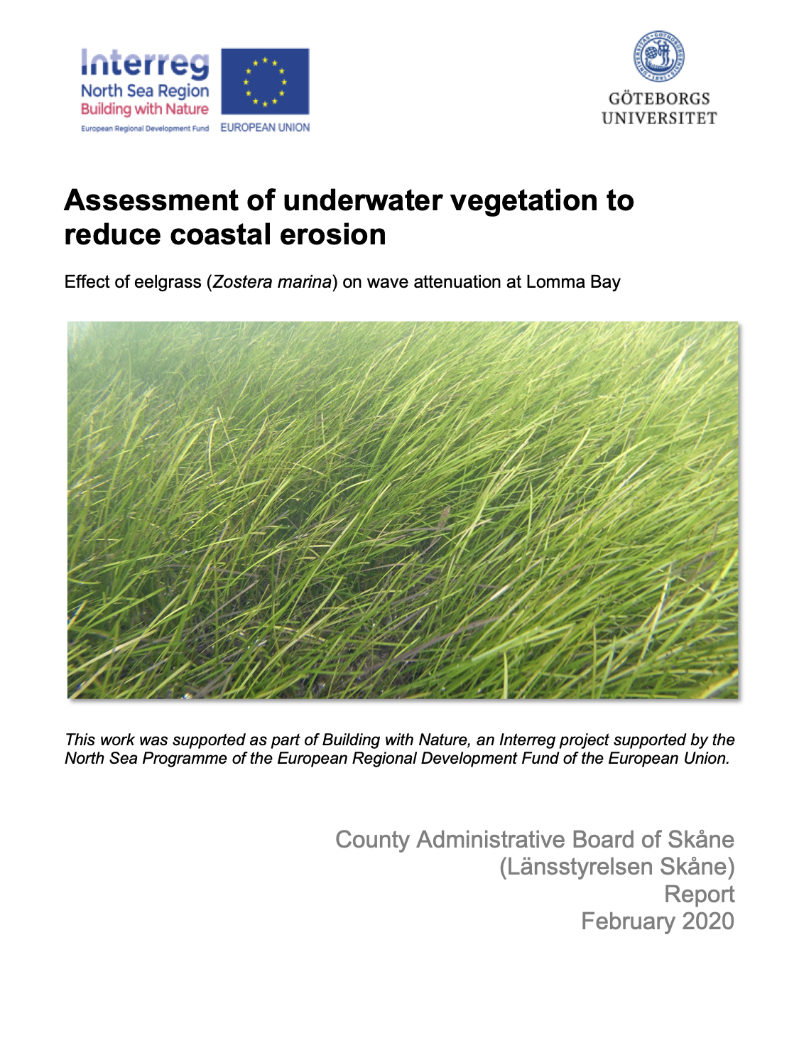 Effect of eelgrass (Zostera marina) on wave attenuation at Lomma Bay