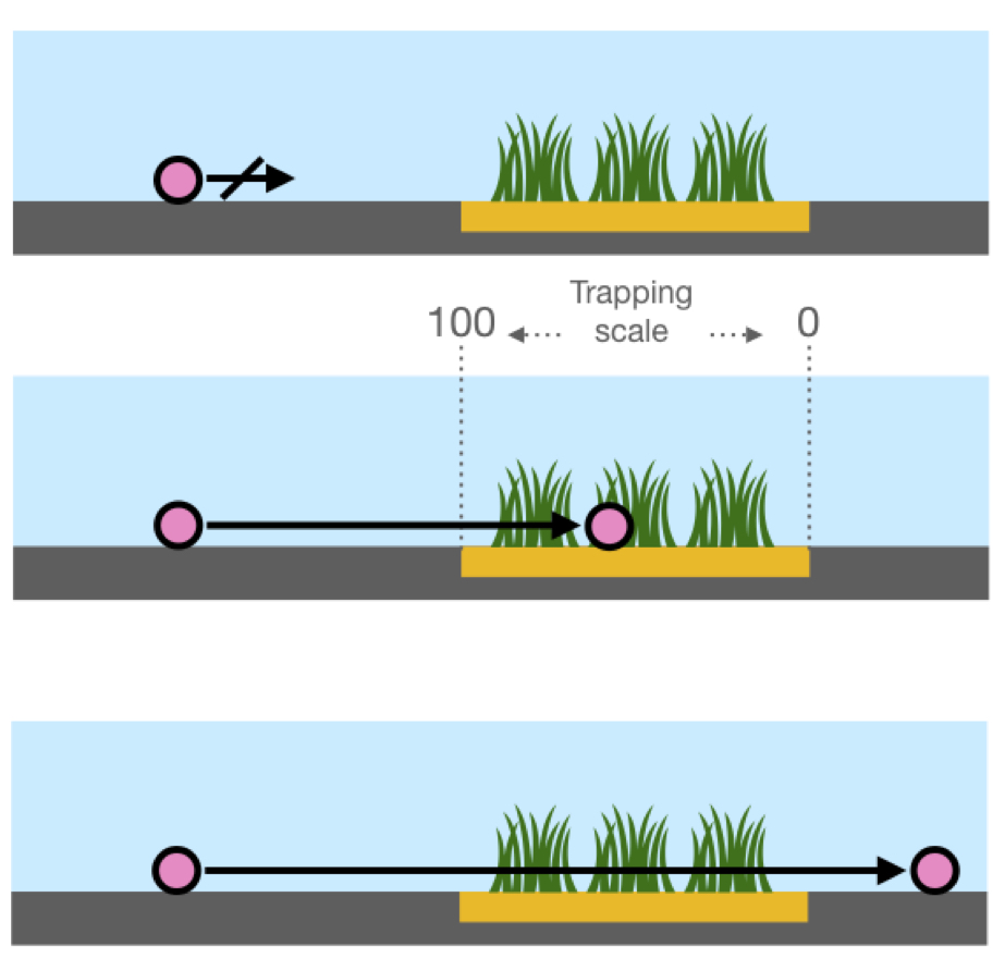 Microplastic retention by marine vegetated canopies: simulations with seagrass meadows in a hydraulic flume