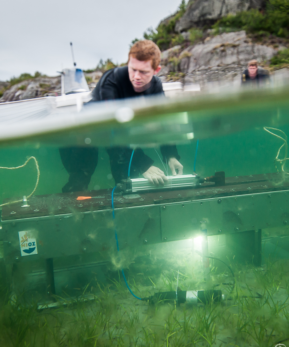 Wind exposure and sediment type determine the resilience and response of seagrass meadows to climate change