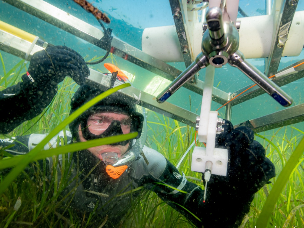 An eddy correlation system used to measure productivity, biodiversity, and carbon/oxygen storage in a restored seagrass bed